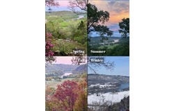 32 WINTERGREEN LANE, Norfork, AR 72658
