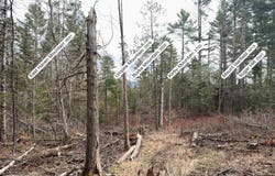 Wheelock Road, Sutton, VT 05867