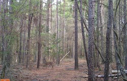 0000 Cr-3401, De Kalb, TX 75559