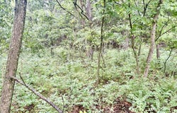 650 Dade 149, Greenfield, MO 65661