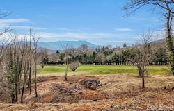Cupp Lane, Waynesville, NC 28786