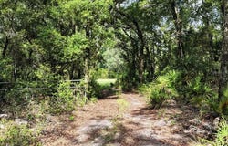 0000 SW COUNTY ROAD 347, CHIEFLAND, FL 32626