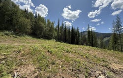 928 Polaris Peak Rd Lot 1, Kellogg, ID 83837