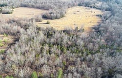 00 Wildcat Hollow, Greenbrier, AR 72058