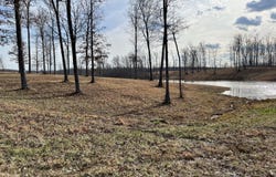 Lot 32 Catoosa Ridge Drive, Crossville, TN 38571