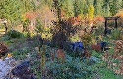 26 Thunderbird RD, White Salmon, WA 98672