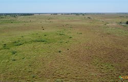 Inez, TX 77968