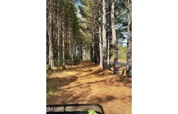 Lot A Swamp Rd., Carthage, MS 39051