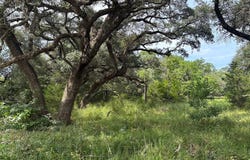 Frantz Road, Cat Spring, TX 78933