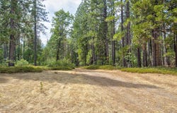 Mtn Dew Lane, Somerset, CA 95684