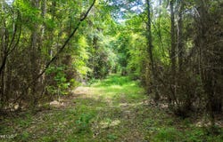 Mississippi 570, Summit, MS 39666