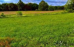 1526 Phyllis Drive Drive, Berea, KY 40403