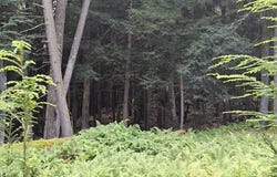 2635 Gravel Lick Road, Fisher, PA 16225