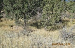 Couch Creek Road, Alturas, CA 96101