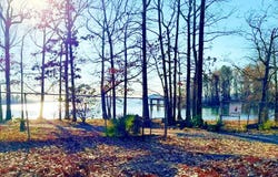 50 HAWK, Florien, LA 71429