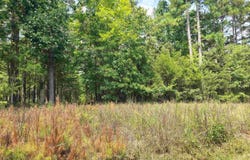 Deer Valley Road, Waterloo, SC 29384
