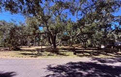 1204 DAVIES Road, BRANDON, FL 33511