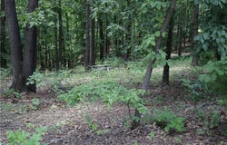 Lot 34, Block 3 Runnymede  LN, Bella Vista, AR 72715