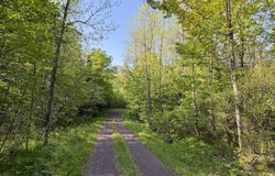 TBD Off Hwy M-64, Ontonagon, MI 49953