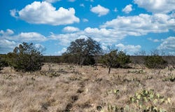 County Rd 204, Sonora, TX 76950