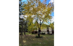 W3602 Willers Road, Springbrook, WI 54875