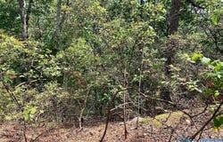 640 Blowing Cave Road, Gurley, AL 35748