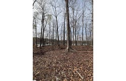 133 Falling Leaf Drive, Townville, SC 29689