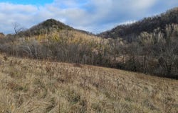 38 Chipmunk Ridge Rd, Stoddard, WI 54658