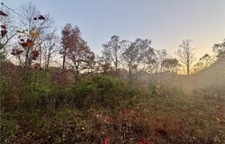 501 Mallard Lane, WV 25024