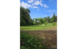 9999 Settlers Trail, Mars Hill, NC 28754