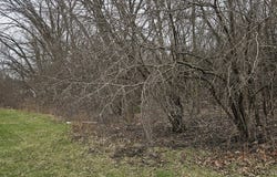 89 227th Street, Steger, IL 60475