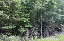 0 Wohalie Lane, South Pittsburg, TN 37380