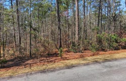 L28 B 3 Bereau Dr Drive, McCormick, SC 29835