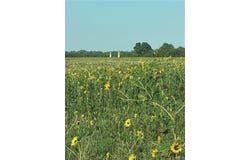 0000 S Military Road, La Joya, TX 78572