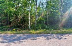 342 & 343 Northland Heights Drive, Presque Isle, MI 49777
