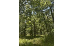 Lot 27 Honeysuckle Trail, Lincolnton, GA 30817