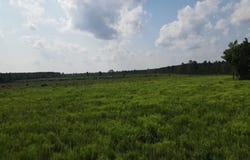 143-217 War Tom Road, Aulander, NC 27805