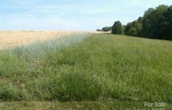County Line Road, Stony Point, NC 28634