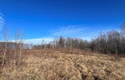 Tbd Partridge Circle Lots 15 & 16, Fancy Gap, VA 24328