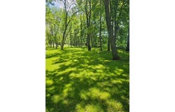 Xxx County Road 27, Alexandria, MN 56308