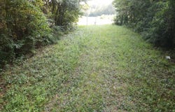 Burnt Bridge Road, Ellisville, MS 39437
