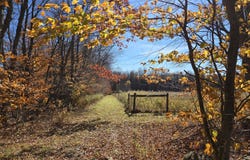 Hinds & Mican Road, Waymart, PA 18472