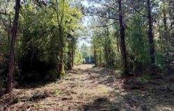 54.5 Acres Epps Rd., New Zion, SC 29111