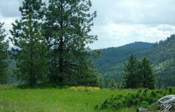 X12X HOAG RD, VALLEY, WA 99181