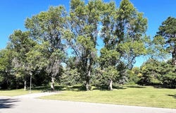 39060 Greenwood Lane, Aberdeen, SD 57401
