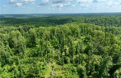 340 Robin  LN, Powell, MO 65730