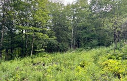 1.5 Tannery Rd, Western, NY 13486