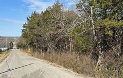 Orchard lot: 5-8 & 1-8, Flippin, AR 72634