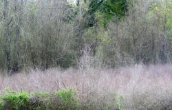 Etowah Road, Norman, OK 73068