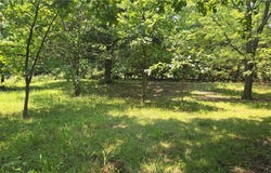3624 Oakland School Road, Odessa, MO 64076